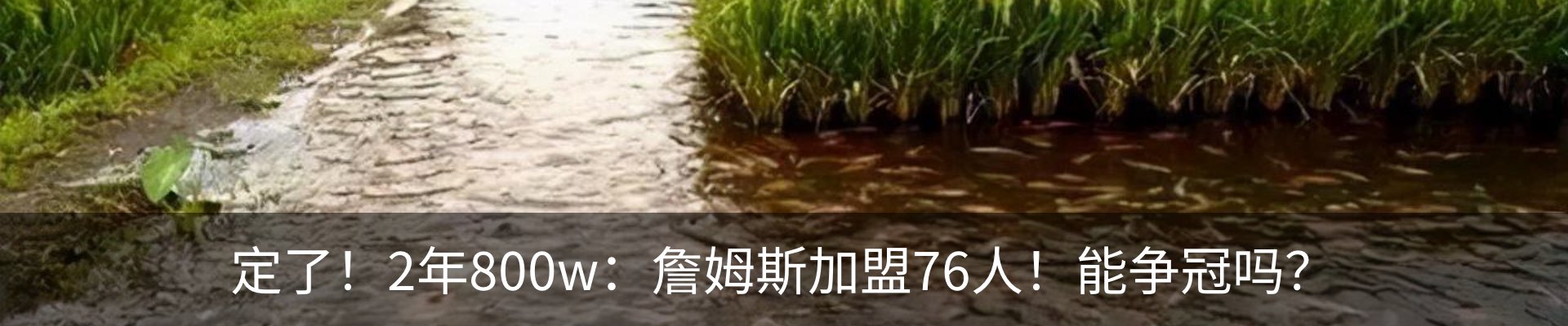 新闻中心